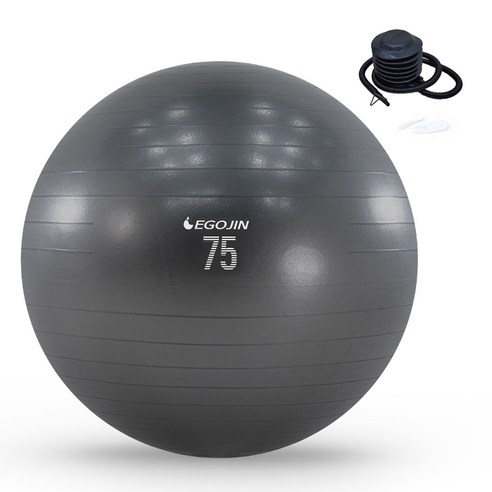 66 이고진 짐볼 + 발 펌프 + 집게 + 마개