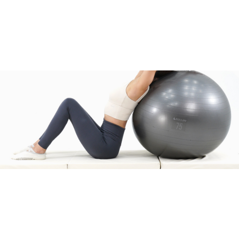 8 이고진 짐볼 + 발 펌프 + 집게 + 마개 - 이미지 4